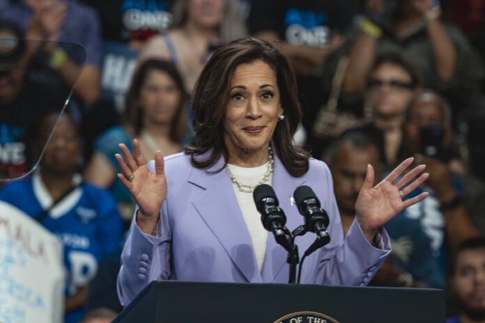 Kamala Harris Campaign Rally
