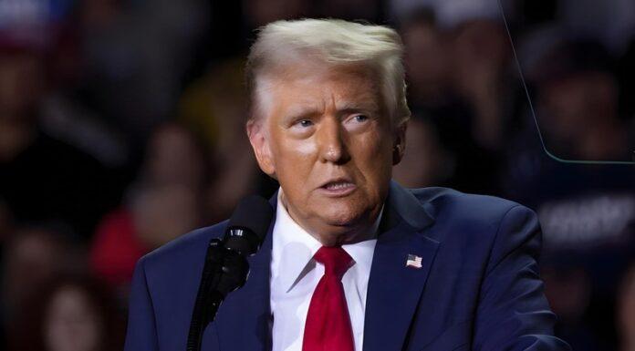 Trump Turns on Vance in the Most Brutal Way Possible