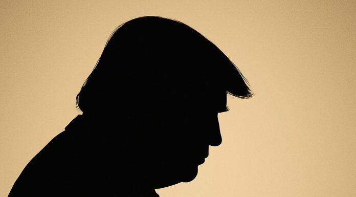 Donald Trump Silhouette Profile