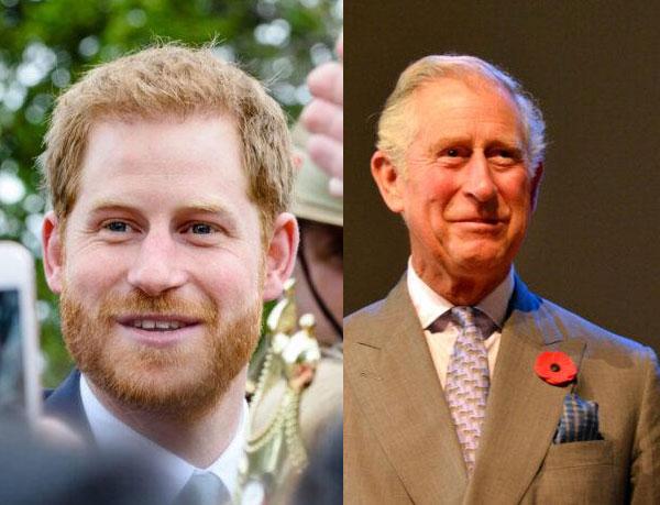 prince-harry-and-king-charles