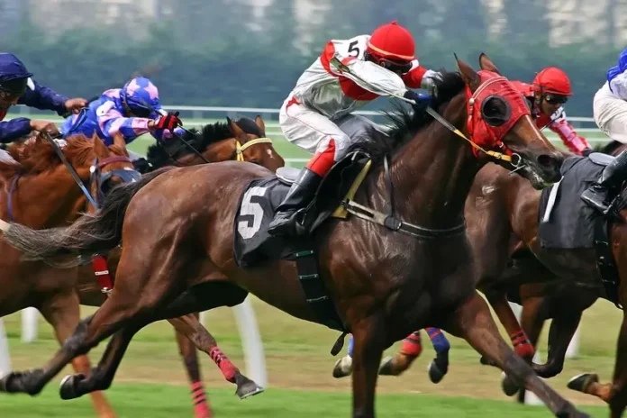 Horse Racing Competition
